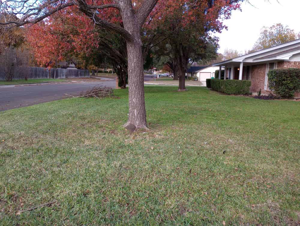 Lawn Care Services image