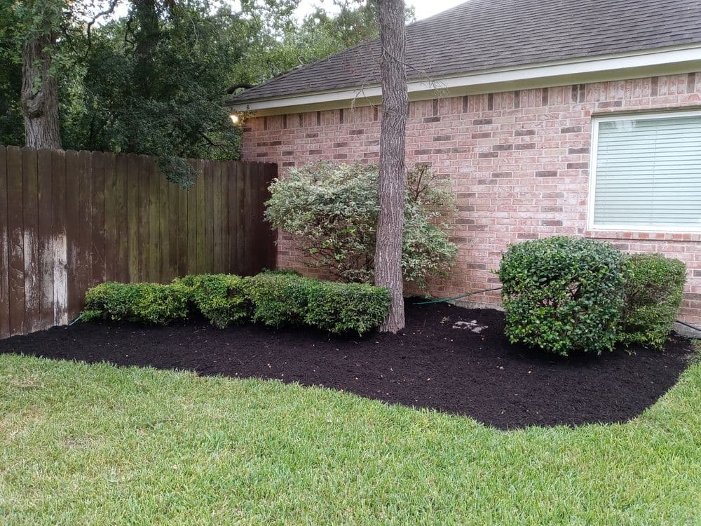 Contact form background