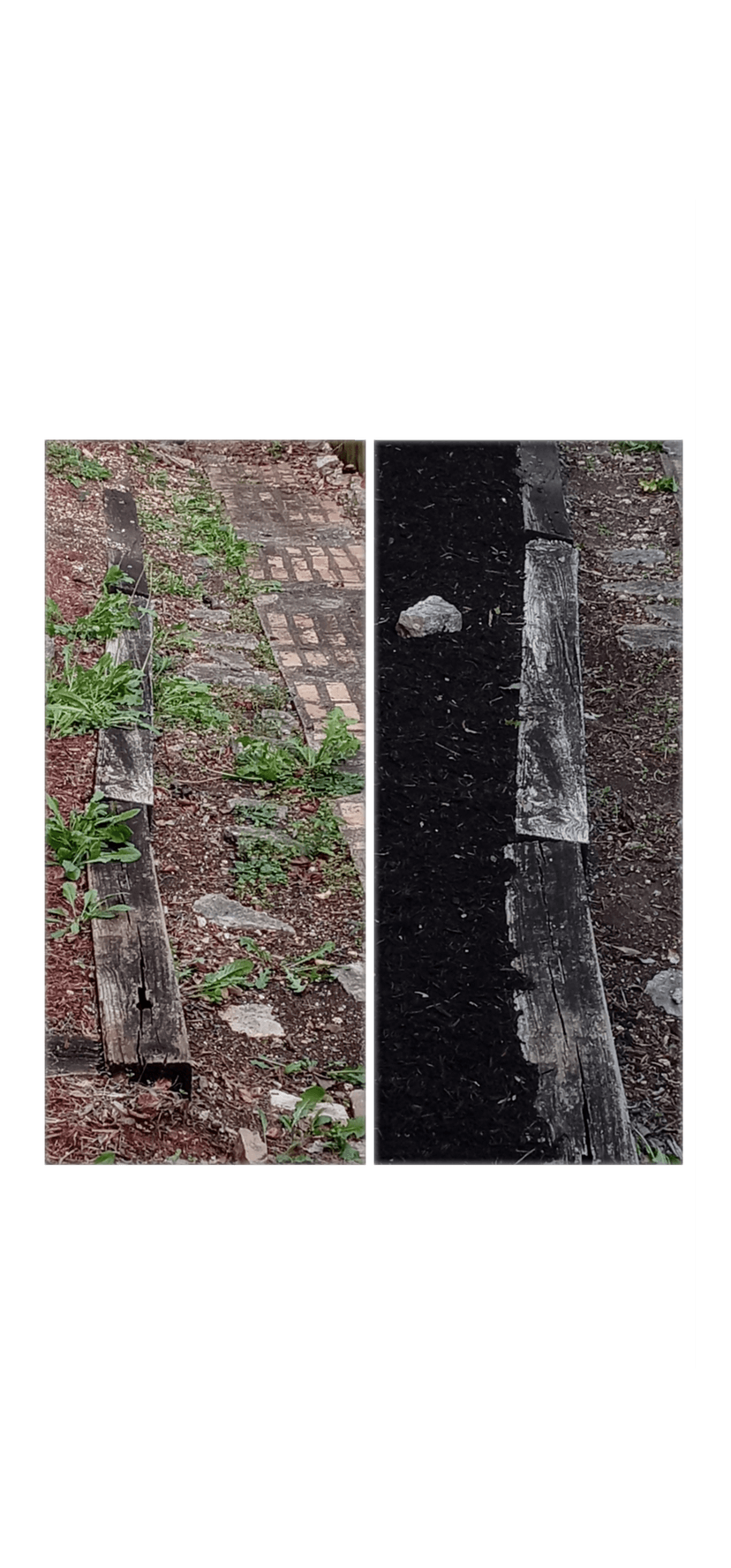 Comprehensive Service Range's image